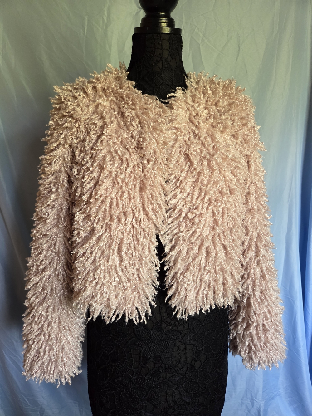 Free People Blush Pink Shaggy Teddy Jacket